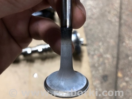 ФОТО Клапан выпускной для Audi (Ауди) A4 V B9 - 8W (2015-) Київ