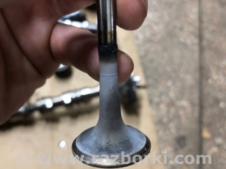 ФОТО Клапан выпускной для Audi (Ауди) A4 V B9 - 8W (2015-) Київ