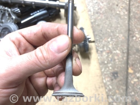 ФОТО Клапан выпускной для Audi (Ауди) A4 V B9 - 8W (2015-) Київ