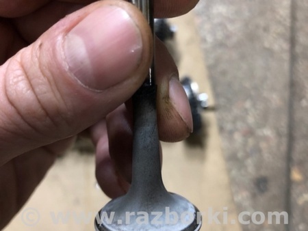 ФОТО Клапан выпускной для Audi (Ауди) A4 V B9 - 8W (2015-) Київ