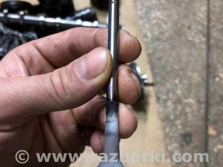 ФОТО Клапан выпускной для Audi (Ауди) A4 V B9 - 8W (2015-) Київ