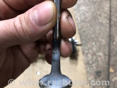 ФОТО Клапан выпускной для Audi (Ауди) A4 V B9 - 8W (2015-) Київ