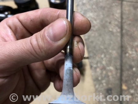 ФОТО Клапан выпускной для Audi (Ауди) A4 V B9 - 8W (2015-) Київ