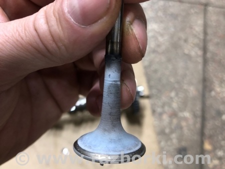 ФОТО Клапан выпускной для Audi (Ауди) A4 V B9 - 8W (2015-) Київ