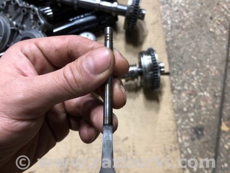 ФОТО Клапан выпускной для Audi (Ауди) A4 V B9 - 8W (2015-) Київ