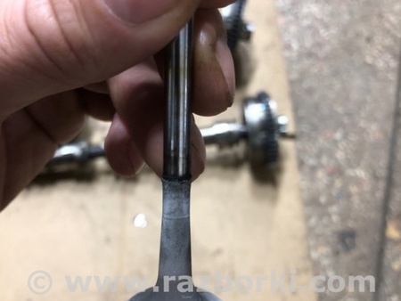 ФОТО Клапан выпускной для Audi (Ауди) A4 V B9 - 8W (2015-) Київ