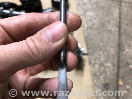 ФОТО Клапан выпускной для Audi (Ауди) A4 V B9 - 8W (2015-) Київ