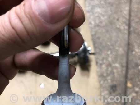 ФОТО Клапан выпускной для Audi (Ауди) A4 V B9 - 8W (2015-) Київ