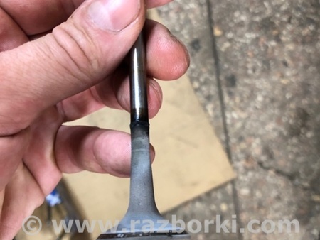 ФОТО Клапан выпускной для Audi (Ауди) A4 V B9 - 8W (2015-) Київ