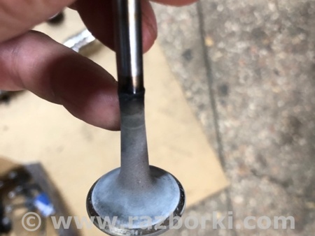 ФОТО Клапан выпускной для Audi (Ауди) A4 V B9 - 8W (2015-) Київ