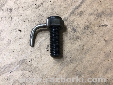 ФОТО Форсунка масляная для Audi (Ауди) A4 V B9 - 8W (2015-) Київ