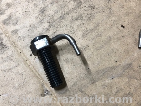 ФОТО Форсунка масляная для Audi (Ауди) A4 V B9 - 8W (2015-) Київ