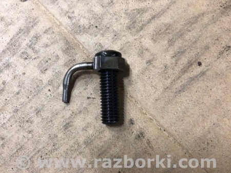 ФОТО Форсунка масляная для Audi (Ауди) A4 V B9 - 8W (2015-) Київ