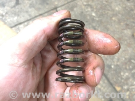 ФОТО Пружина клапана для Audi (Ауди) A4 V B9 - 8W (2015-) Київ