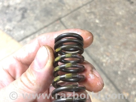 ФОТО Пружина клапана для Audi (Ауди) A4 V B9 - 8W (2015-) Київ