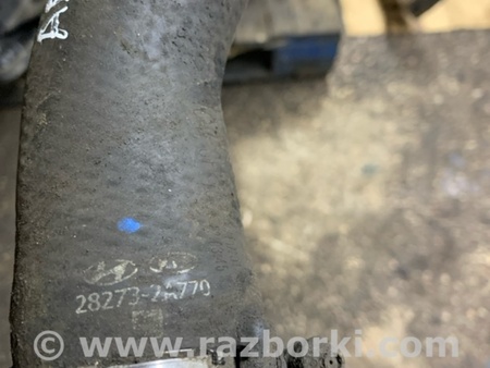 ФОТО Патрубок интеркулера для KIA Ceed 2 JD (12-18) Київ