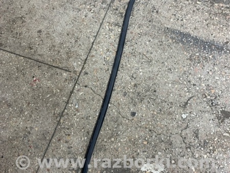 ФОТО Уплотнительная резинка для KIA Sorento 1 BL (02-09) Київ