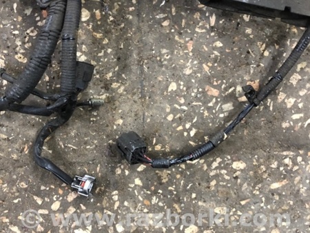 ФОТО Проводка для Subaru Legacy IV BL/BP (03-09) Київ