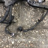 ФОТО Проводка для Subaru Legacy IV BL/BP (03-09) Київ