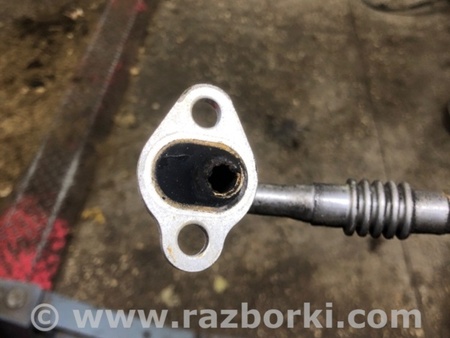 ФОТО Трубка EGR для Subaru Legacy IV BL/BP (03-09) Київ