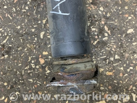 ФОТО Амортизатор задний для KIA Sorento 1 BL (02-09) Київ