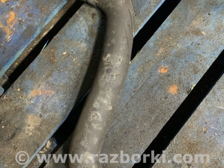 ФОТО Патрубок радиатора для Subaru Legacy IV BL/BP (03-09) Київ