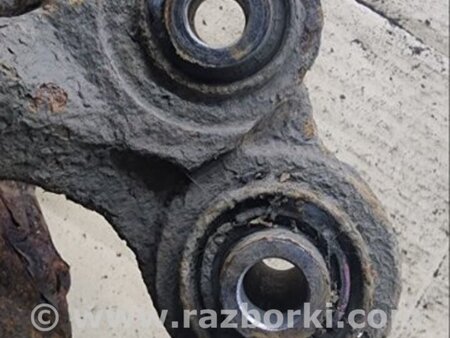 ФОТО Цапфа задняя для Hyundai ix35 I LM/EL Tucson (10-17) Київ