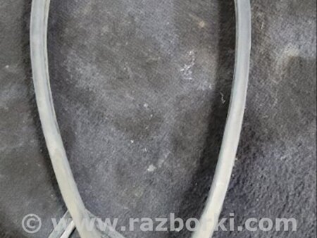 ФОТО Уплотнительная резинка для KIA Sorento 1 BL (02-09) Київ