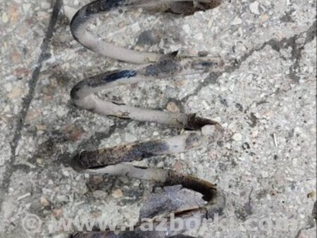 ФОТО Пружина задняя для KIA Sorento 1 BL (02-09) Київ