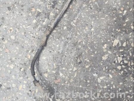 ФОТО Датчик abs задний правый для KIA Sorento 1 BL (02-09) Київ