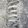 ФОТО Пружина передняя левая для KIA Sorento 1 BL (02-09) Київ