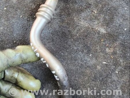 ФОТО Трубка егр для Subaru Legacy V BR/BM (09-14) Київ