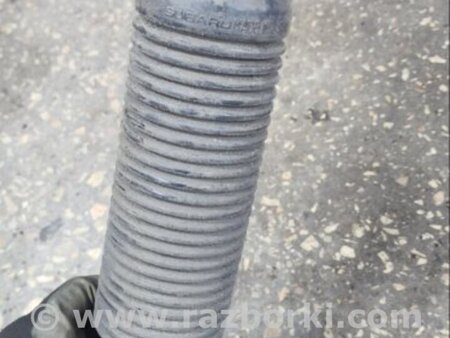 ФОТО Амортизатор задний для Subaru Legacy V BR/BM (09-14) Київ