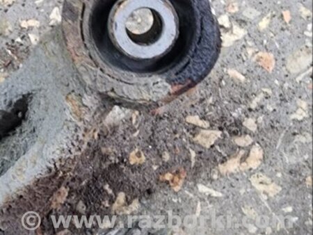 ФОТО Цапфа задняя для Subaru Legacy V BR/BM (09-14) Київ