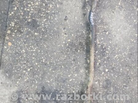 ФОТО Стабилизатор передний для Subaru Legacy IV BL/BP (03-09) Київ