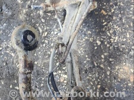 ФОТО Цапфа задняя для Subaru Legacy IV BL/BP (03-09) Київ