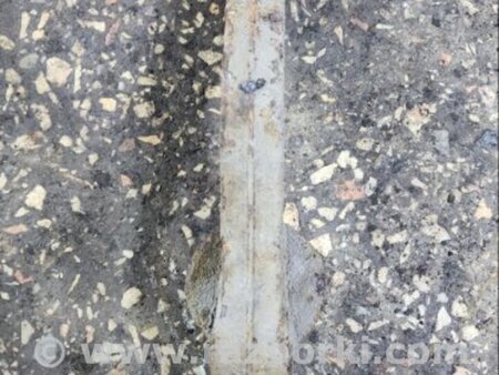 ФОТО Рычаг задний левый для Subaru Legacy IV BL/BP (03-09) Київ