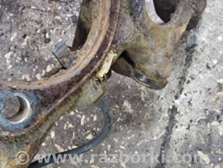 ФОТО Цапфа задняя для Subaru Legacy IV BL/BP (03-09) Київ