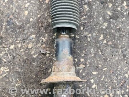 ФОТО Амортизатор задний для Subaru Legacy IV BL/BP (03-09) Київ