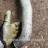 ФОТО Патрубок интеркулера для Hyundai Santa Fe III DM/NC (12-18) Київ