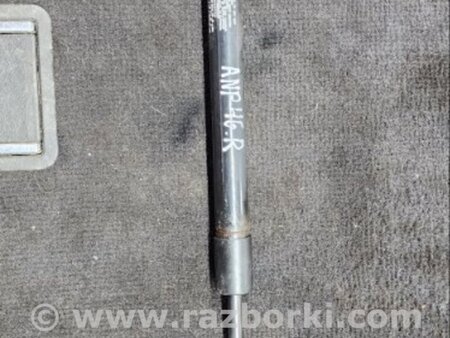 ФОТО Амортизатор багажника задний правый для Hyundai Santa Fe III DM/NC (12-18) Київ
