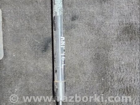 ФОТО Амортизатор багажника задний левый для Hyundai Santa Fe III DM/NC (12-18) Київ