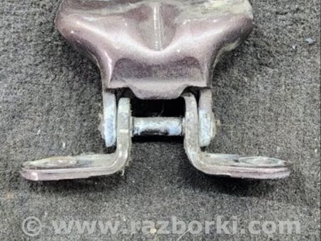 ФОТО Петля двери для Hyundai Santa Fe III DM/NC (12-18) Київ