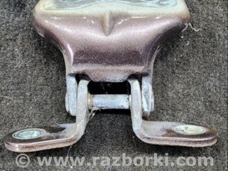 ФОТО Петля двери для Hyundai Santa Fe III DM/NC (12-18) Київ