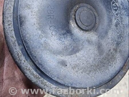 ФОТО Сигнал для Hyundai Santa Fe III DM/NC (12-18) Київ