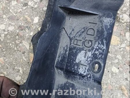 ФОТО Накладка радиатора для Hyundai Santa Fe III DM/NC (12-18) Київ