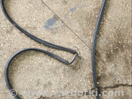 ФОТО Уплотнительная резинка задняя левая для KIA Sportage SL (10-16) Київ