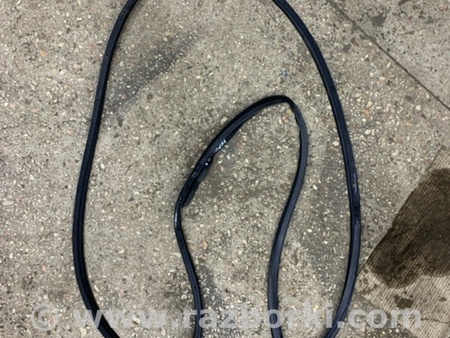 ФОТО Уплотнительная резинка задняя левая для Hyundai Santa Fe III DM/NC (12-18) Київ