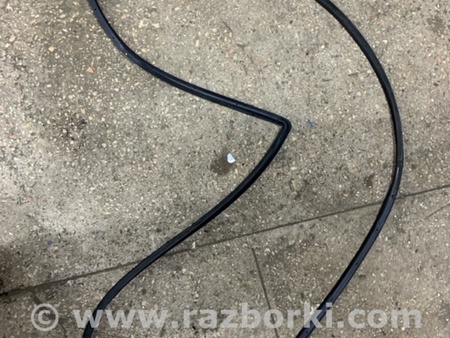 ФОТО Уплотнительная резинка передняя левая для Hyundai Santa Fe III DM/NC (12-18) Київ
