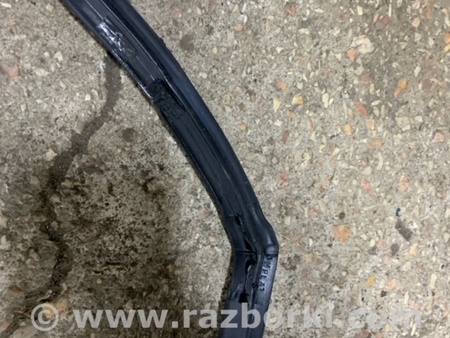 ФОТО Уплотнительная резинка передняя левая для Hyundai Santa Fe III DM/NC (12-18) Київ